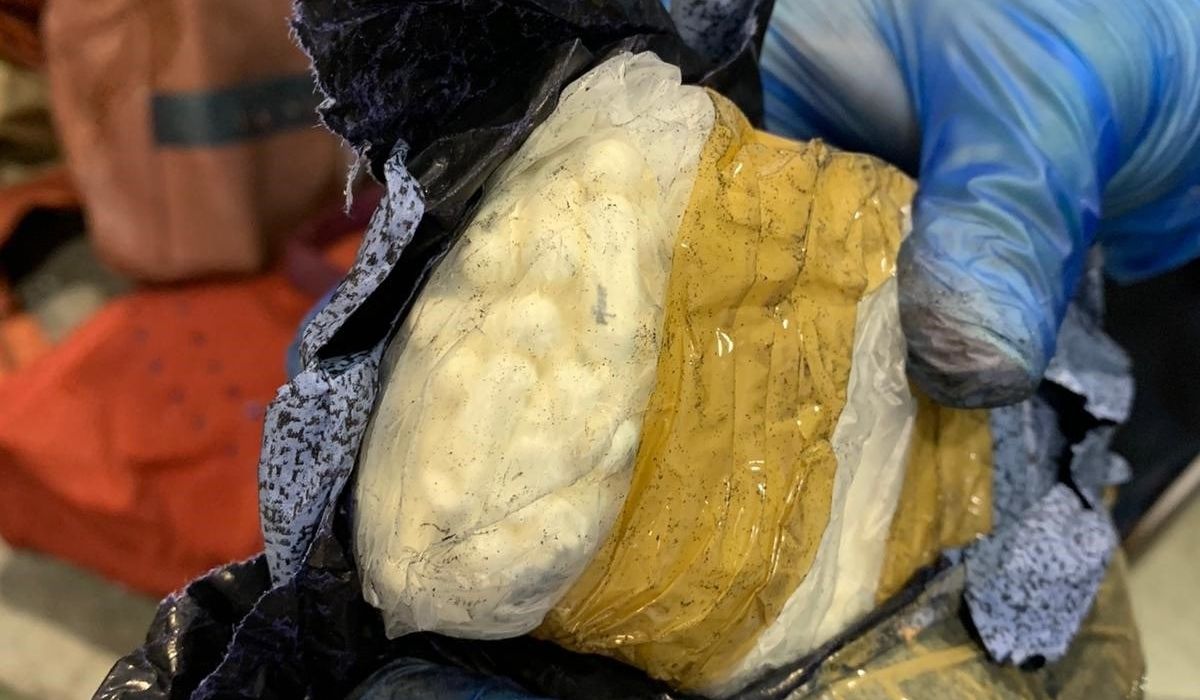 Customs department thwarts smuggling attempt of Lyrica Pills